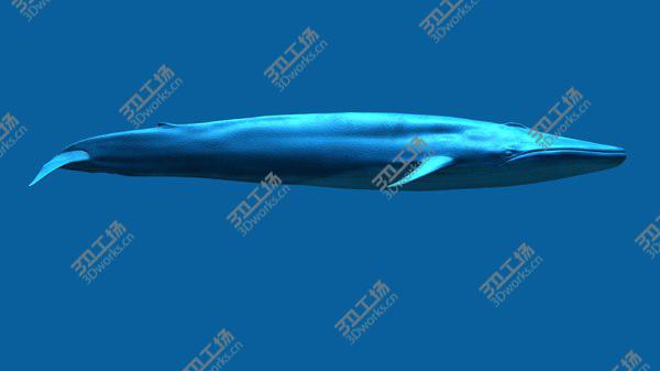images/goods_img/20210312/3D Blue Whale/3.jpg
